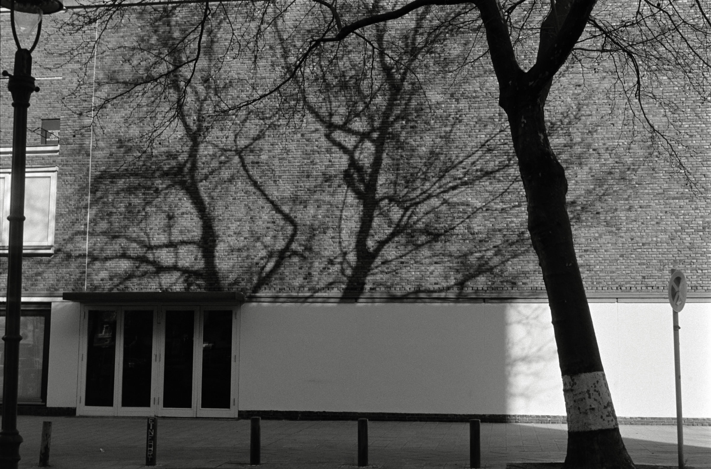 AHP F1993 03 006 sc240902 img09 NLP